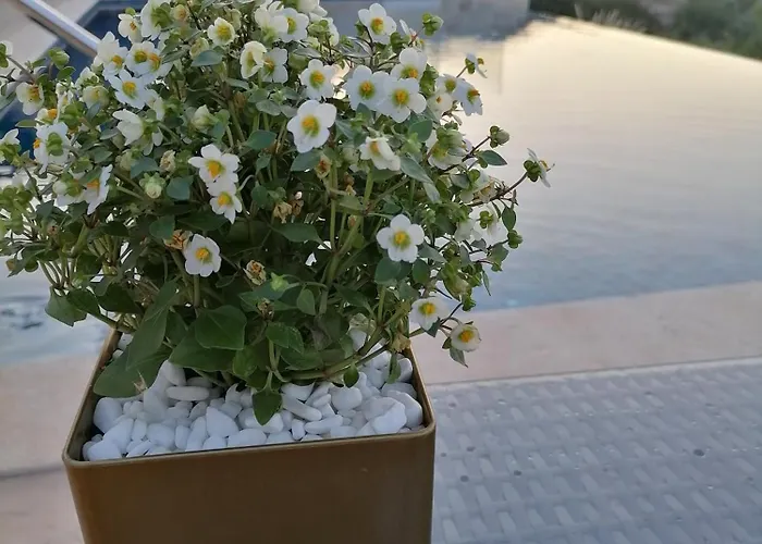 Halepouri Вилла Ханья