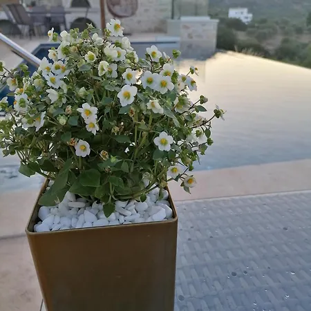 Halepouri ヴィラ ハニア